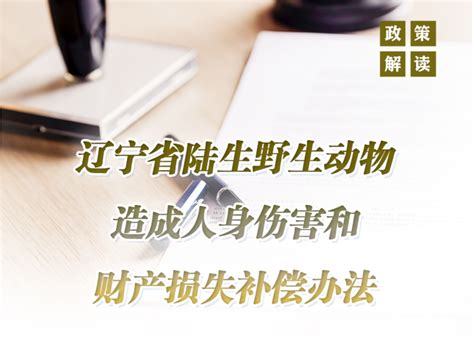 辽宁省人民政府