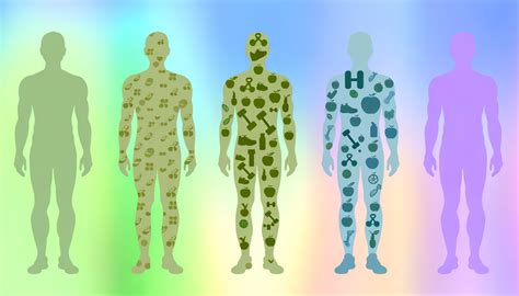 calorie   body types understanding ectomorph mesomorph