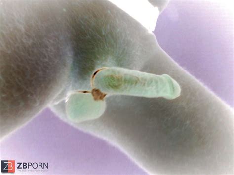 Corded My Meatpipe ZB Porn