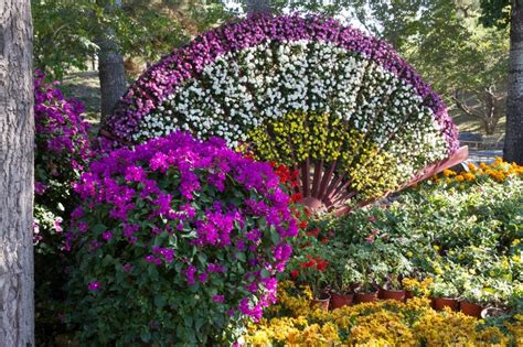 Хризантема в китайской культуре
