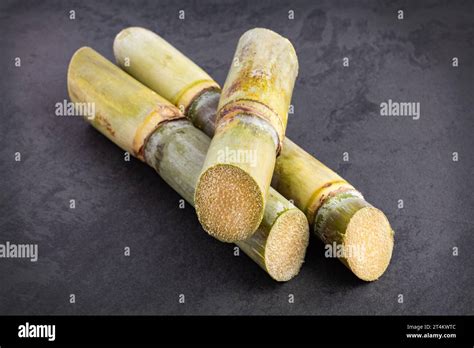 Organic Sugar Cane Stalks Saccharum Officinarum Stock Photo Alamy