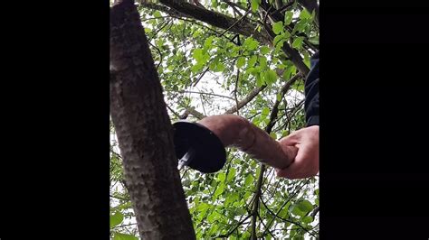 German Porn Videos Gay Xxx Xhamster