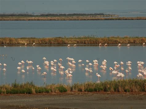 Zona Speciale Di Conservazione E Zona Di Protezione Speciale Valli Di