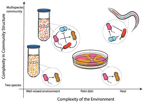 In Bacterial Communities Where Resources Are Often Limited