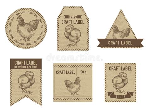 Chicken vintage labels stock vector. Illustration of bird - 43883328