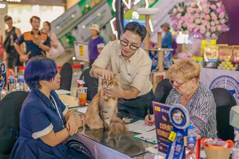 Cu C Thi M O P Gay C N So K S T Sao I Th Gi T Ng V N Ph I Thua Em M O N Y