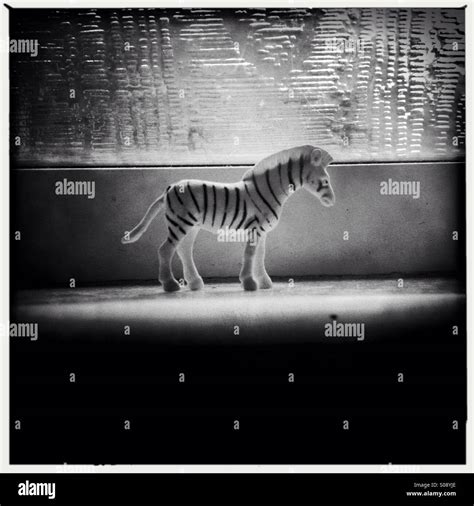 Toy zebra Stock Photo - Alamy