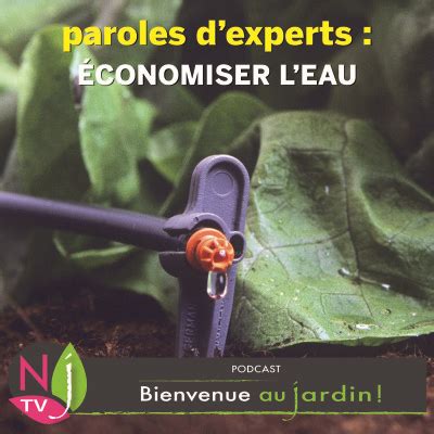 Bienvenue Au Jardin Paroles D Experts Comment Conomiser Leau Dans