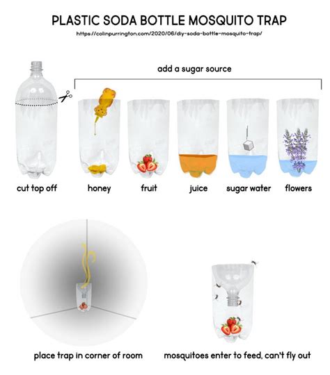 Indoor Mosquito Trap Made From Plastic Soda Bottle Artofit
