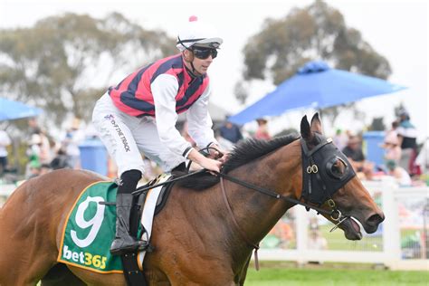 McNeil's festive season full of joy