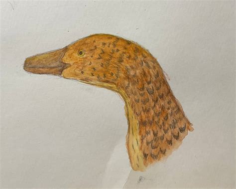 Tiger Ish Raptor By Deinonychus523 On Deviantart