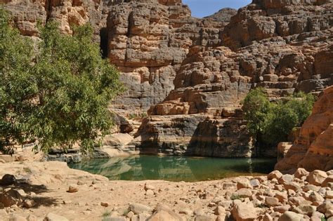Oasis Lacs Tassilinajjer Sahara Algérien Algérie