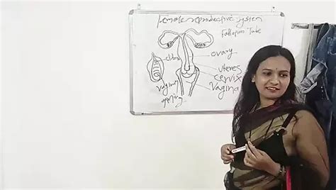 Desi Indian Marathi Kavita Teacher In Saree Roughly Fuck With Student XHamster