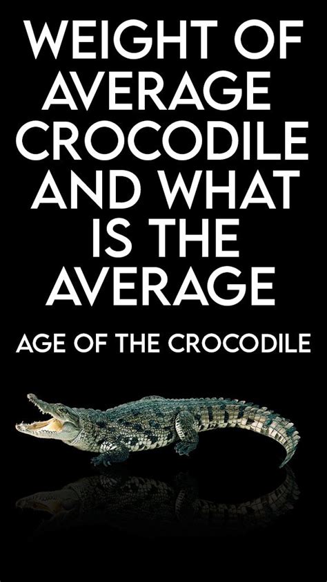 Weight of Average Crocodile and What Is The Average Age of The