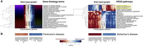 Sex Differences In Gene Expression And Regulatory Networks Across Human Tissues Cell Reports