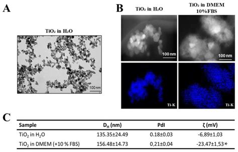 Nanomaterials Free Full Text The Effects Of Titanium Dioxide