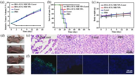 In Vivo Cancer Ptt In Xenograft Nude Mice Models With C Glioma A