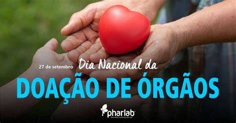 Dia Nacional Da Doa O De Rg Os Pharlab