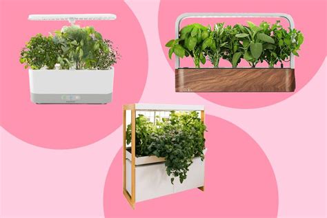 The 7 Best Indoor Garden Systems