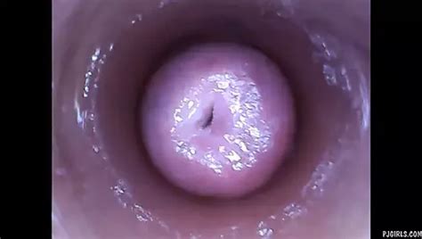 Free Inside Pussy Porn Videos Xhamster