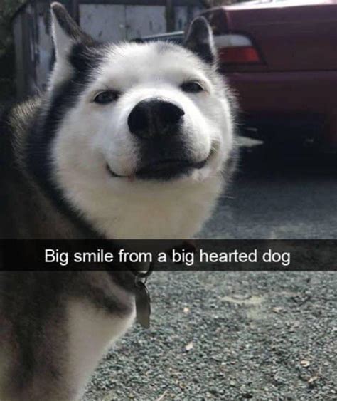 Cute : r/Eyebleach