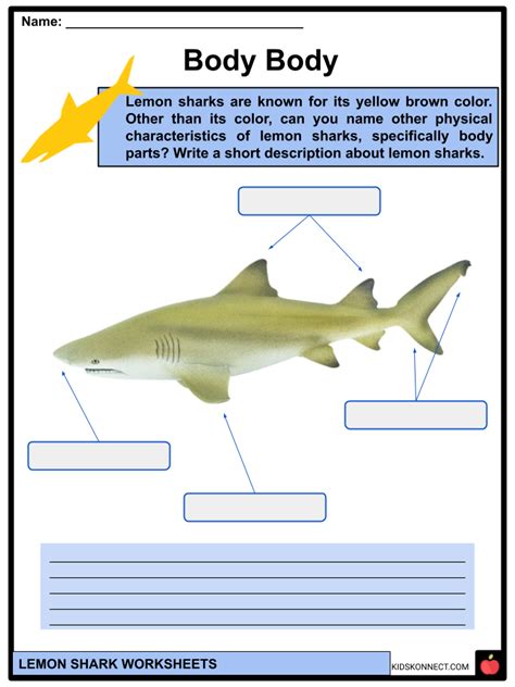 Lemon shark Habitat, Behavior, Facts & Worksheets for Kids | KidsKonnect