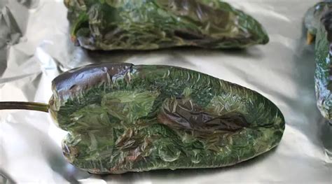 How To Dry Poblano Peppers In The Oven And Store Them For Over 6 Months