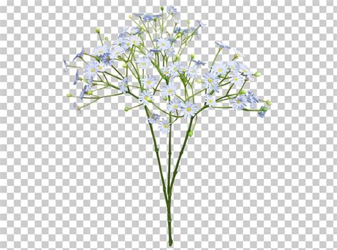 Cut Flowers Baby S Breath Blue Flower Bouquet Png Clipart Babysbreath