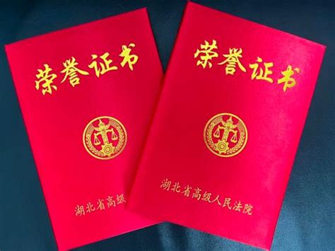 喜报：热烈祝贺我院两位同志在全省法院学术论文征集活动中获奖！澎湃号·政务澎湃新闻 The Paper