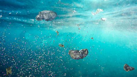 Microplastics In Sewage