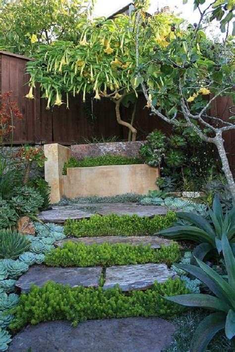 Succulents On The Steps Crevices And Pathways Ideas