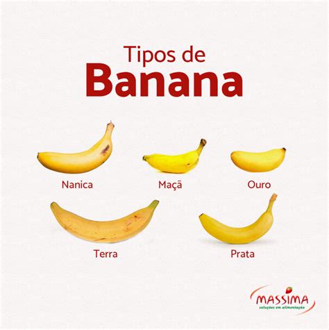Tipos De Banana No Brasil - O que que a banana tem? - Massima Alimentação