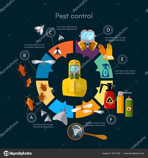 Pest Control Service Infographic Insects Exterminator Detecting Stock