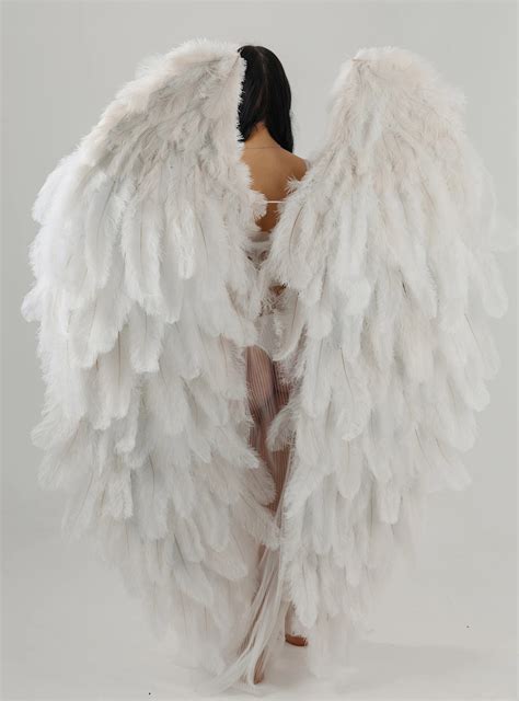 White Angel Wings Maternity Wings Family Photoshoot Ideas Pregnancy