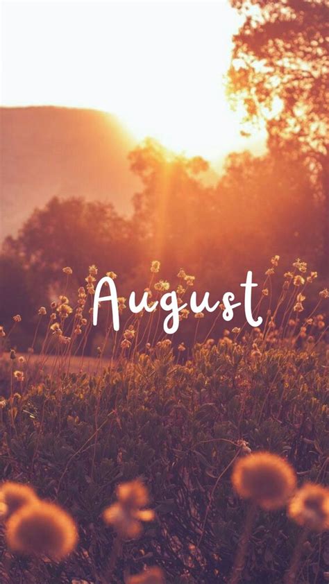 August IPhone Wallpaper Aesthetic in 2024 | August wallpaper, September ...