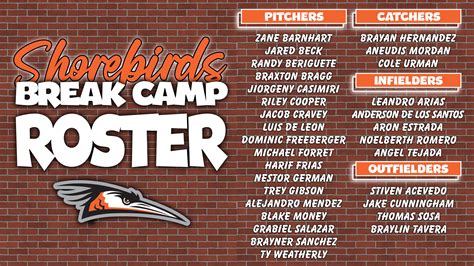 2024 Delmarva Shorebirds - Minors - Orioles Hangout Community