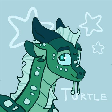 Tortle Rwingsoffire