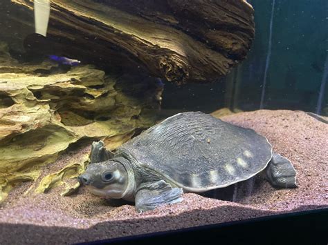 Some rest areas i 75 florida now offer free high-speed wifi 20