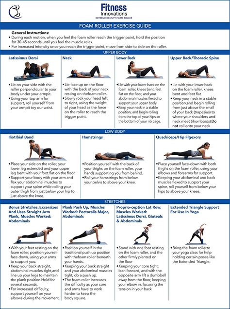 foam roller exercise guide foam roller exercises workout guide foam