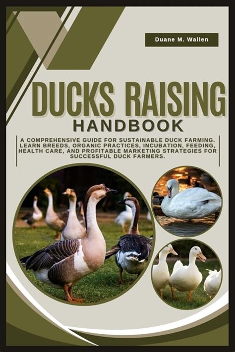 Ducks Raising Handbook A Comprehensive Guide For Sustainable Duck