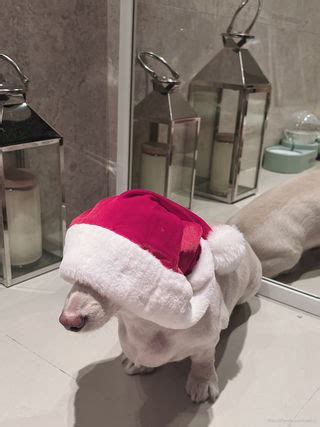 Siw ns 김시원해요 siw ns Nude OnlyFans NudoStar TV