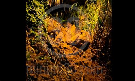 video buscan  una persona reportada como desaparecida tras