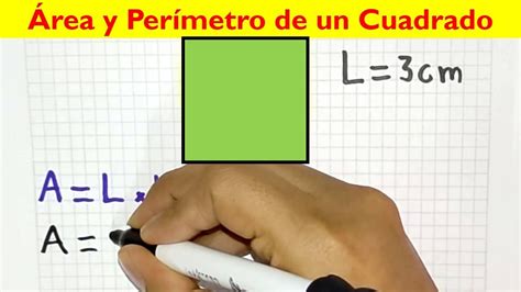 Como Sacar El Area Y Perimetro De Un Cuadrado Youtube