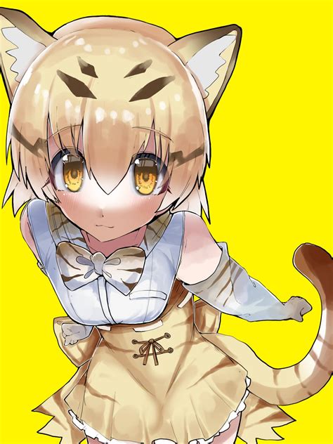 Sand Cat Comes Closer : r/KemonoFriends
