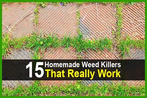 15 Homemade Weed Killers That Really Work TheWorldOfSurvival