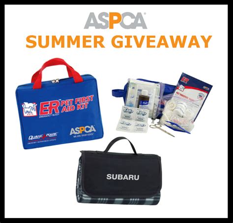 To Dog With Love Hot Tips To Keep Pets Safe This Summer And Giveaway