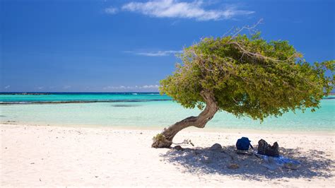 beraka tours aruba por  elegir  la isla como su proximo destino