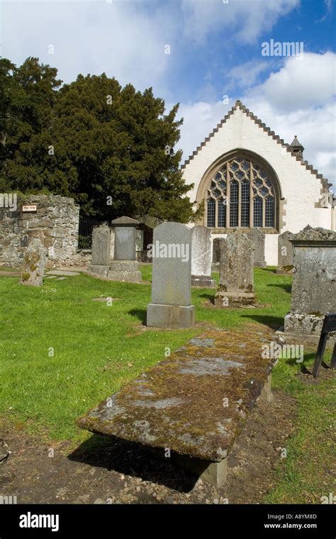 dh Scottish Yew Tree churchyard FORTINGALL PERTHSHIRE 5000 year old Europes oldest living ...