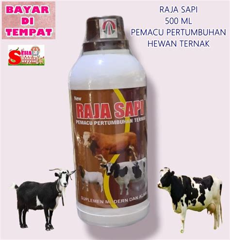 RAJA SAPI 500 ML VITAMIN PENGGEMUK PERTUMBUHAN HEWAN TERNAK SAPI