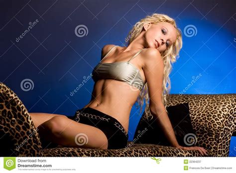 Jeune Femme Blonde Sexy Image Stock Image Of Adulte 22364237